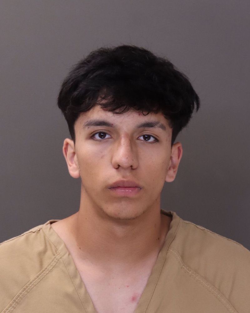 Booking photo of Nicolas L Camargo Casilimas