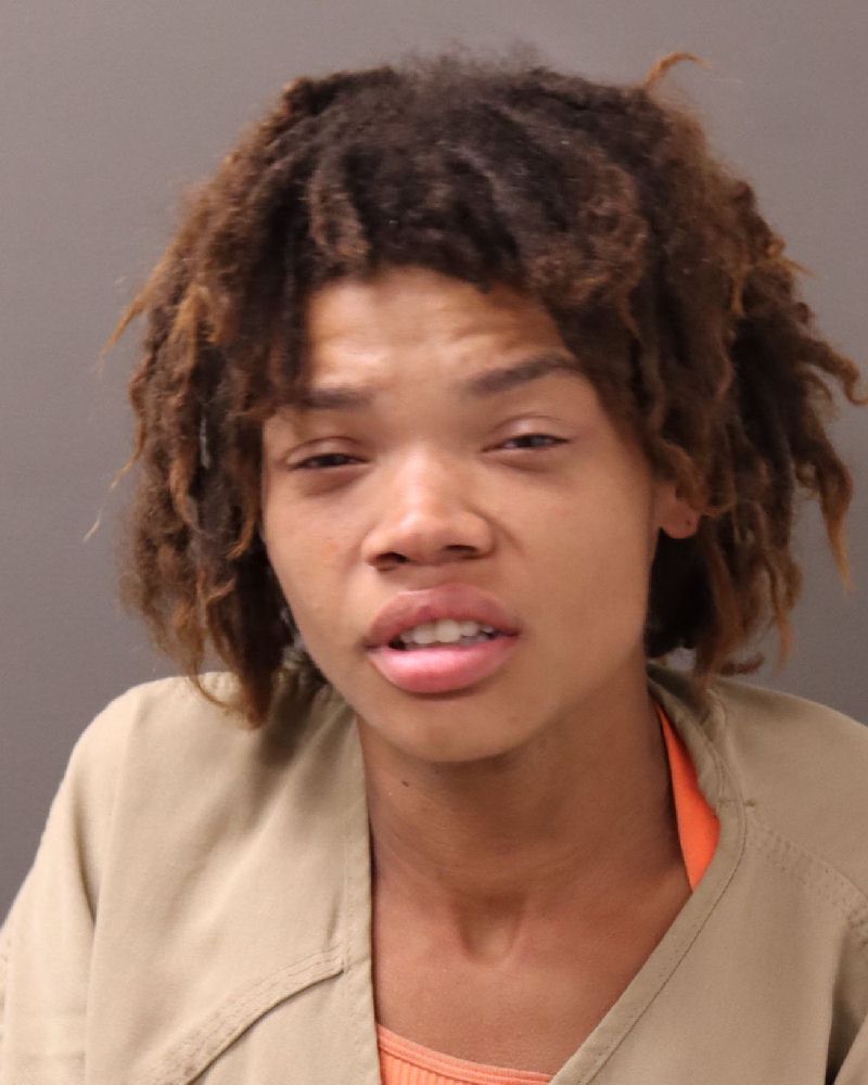 Booking photo of Teanisha Betsy Beatrice Clayton