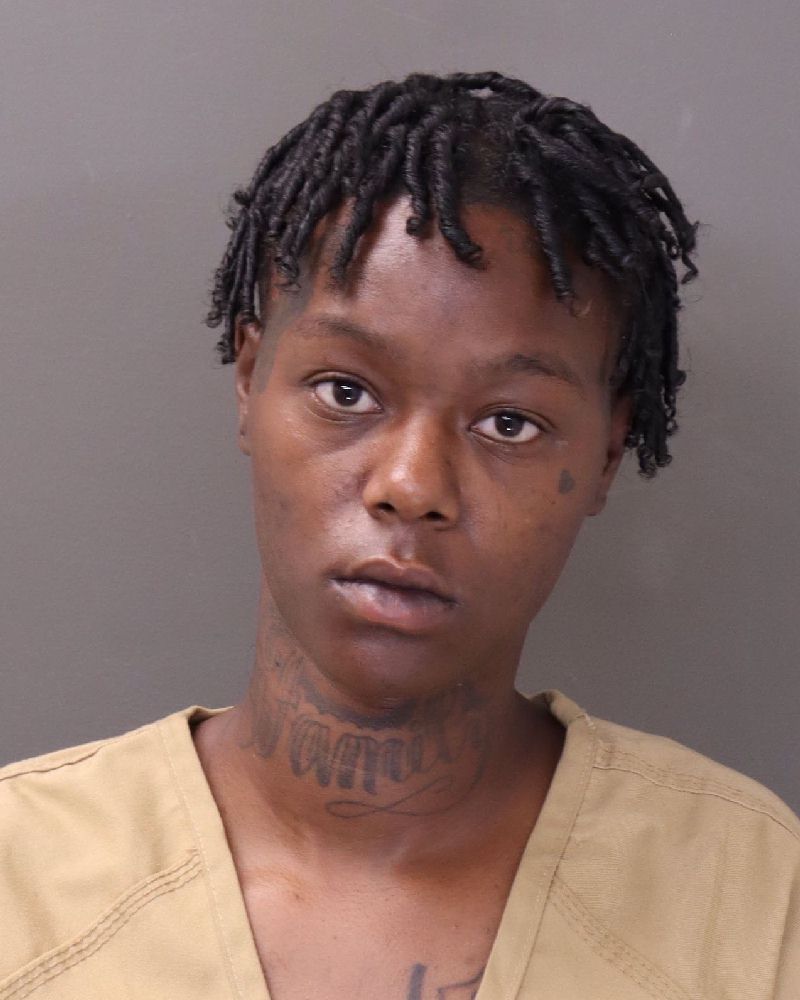 Booking photo of Amy M Lane