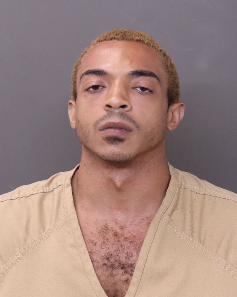 Booking photo of Dandre William Goins