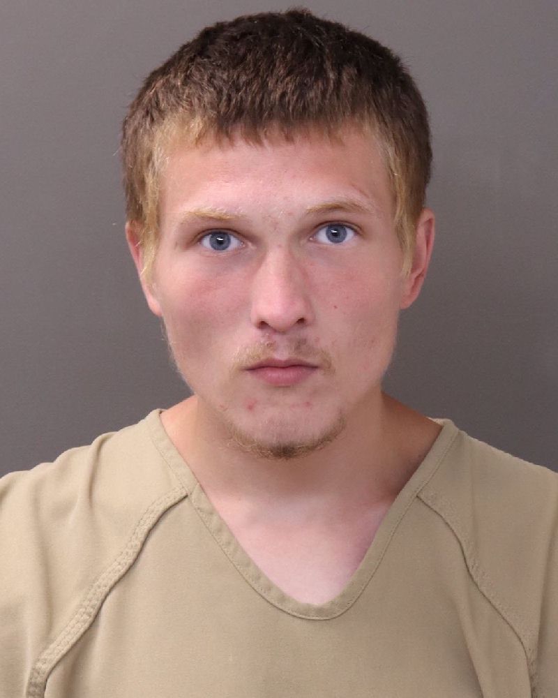 Booking photo of Devin Neil Norton