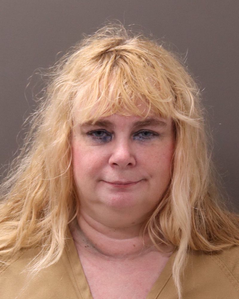Booking photo of Melissa Y Yedlicka