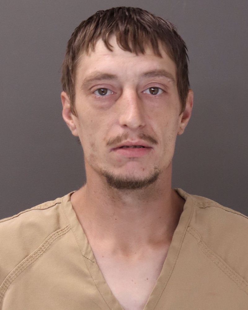 Booking photo of Michael A Mitchell