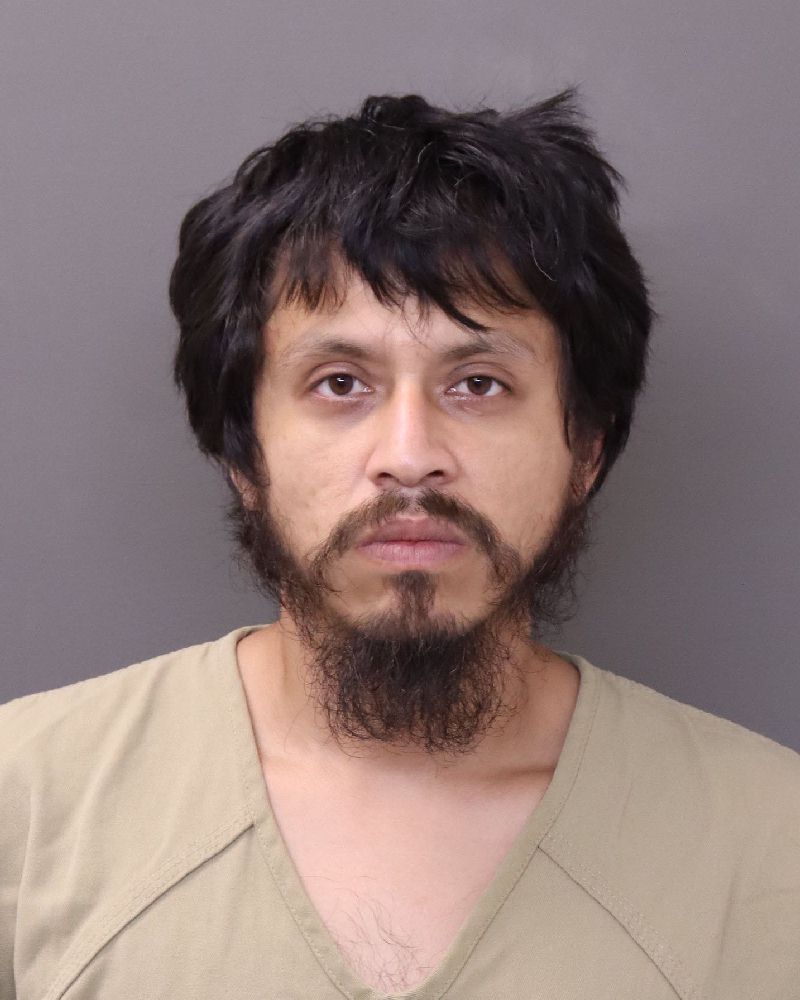 Booking photo of Sergio Bravo