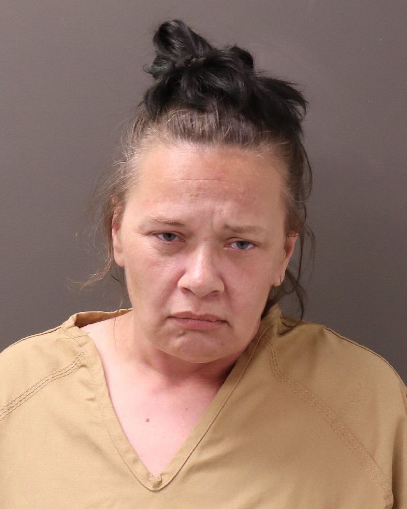 Booking photo of Mandy Sue Gill