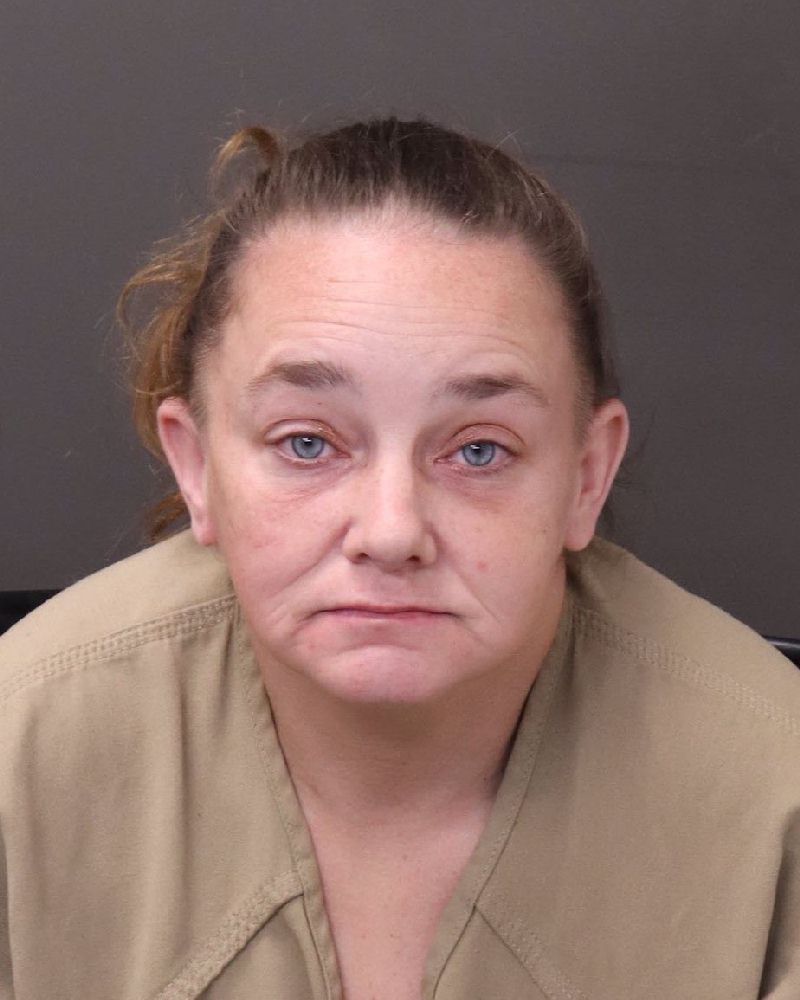 Booking photo of Nina Lee Hudson