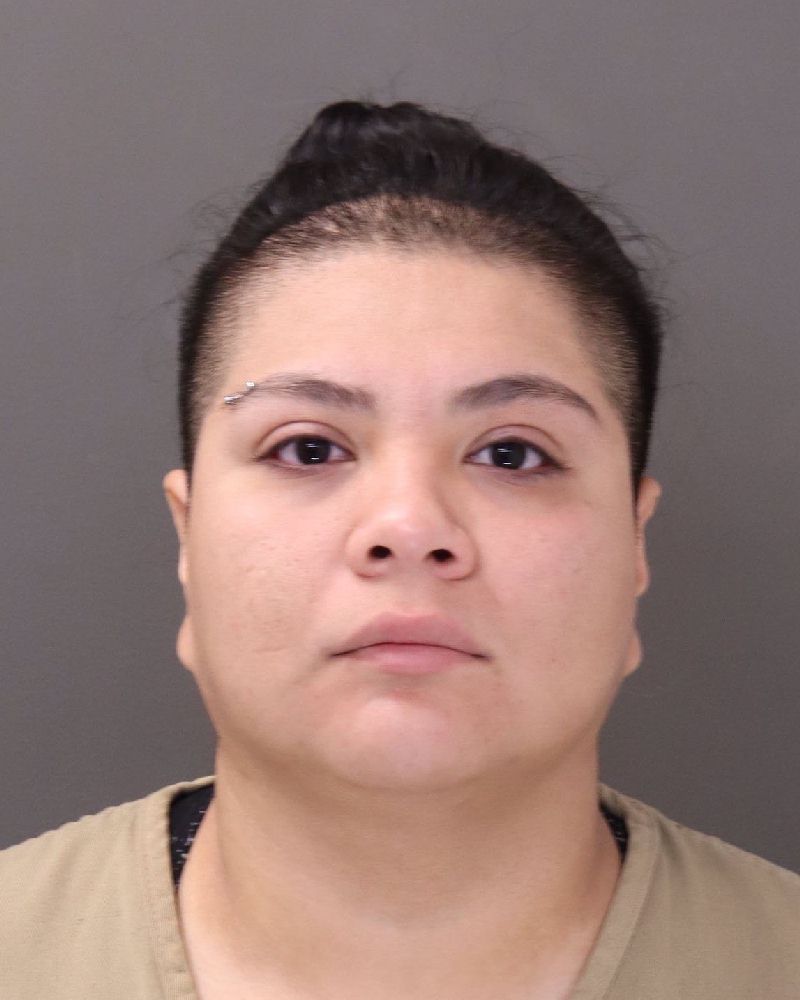 Booking photo of Nicol Alexis Sanchez