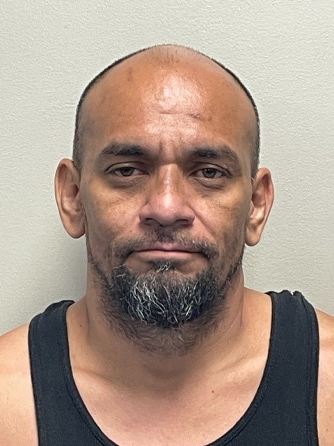 Booking photo of Rolondo Fernandez