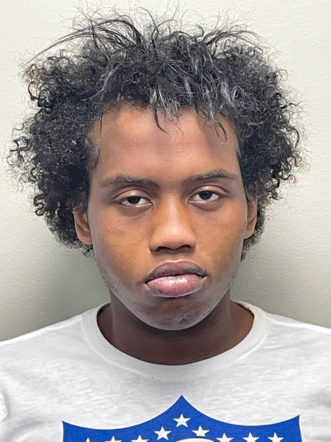 Booking photo of Edward Holloway