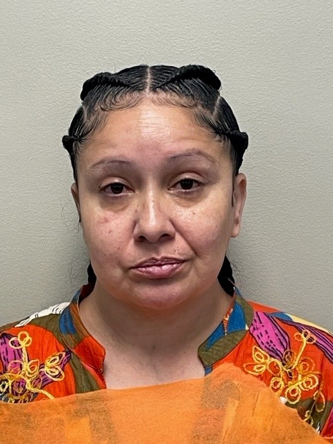 Booking photo of Michelle Harrison