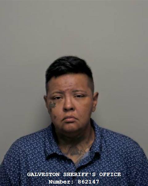 Booking photo of Danielle Perez