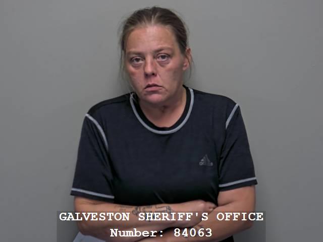 Booking photo of Carla Gibbins