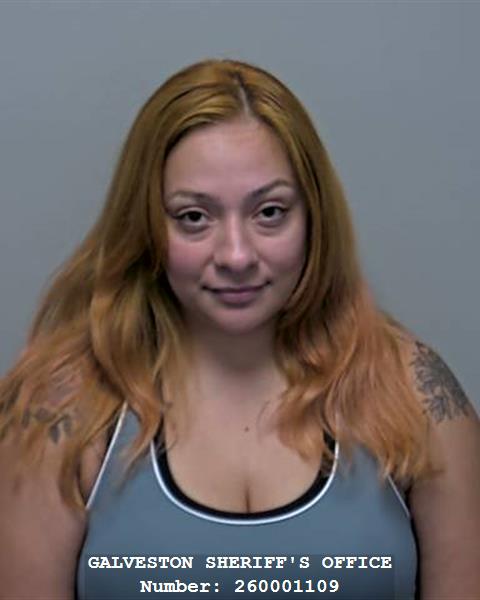 Booking photo of Ana Castillo