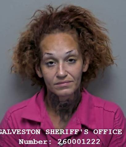 Booking photo of Amanda Vizarrondo Ortiz