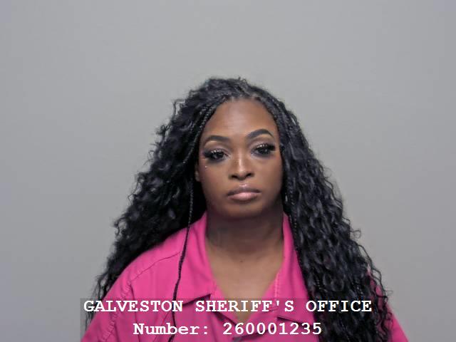 Booking photo of Janelle Mcdonald