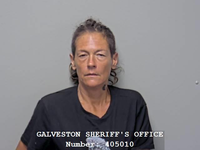 Booking photo of Heather Dutassy