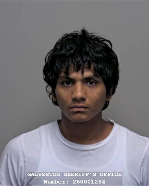Booking photo of Rene Sagastizado