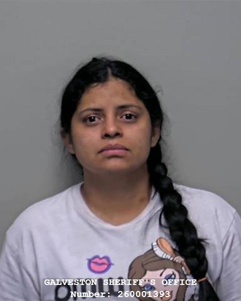 Booking photo of Dahily Guedez Flores