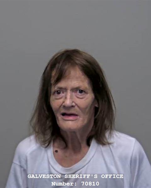 Booking photo of Susan Ferry