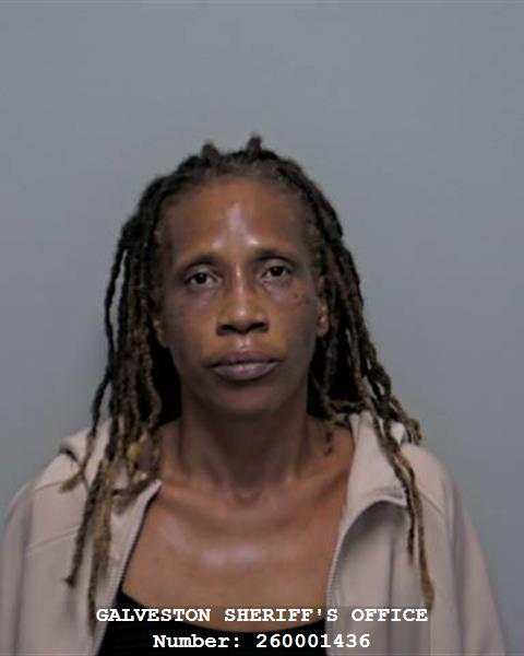 Booking photo of Clynette Mccullough