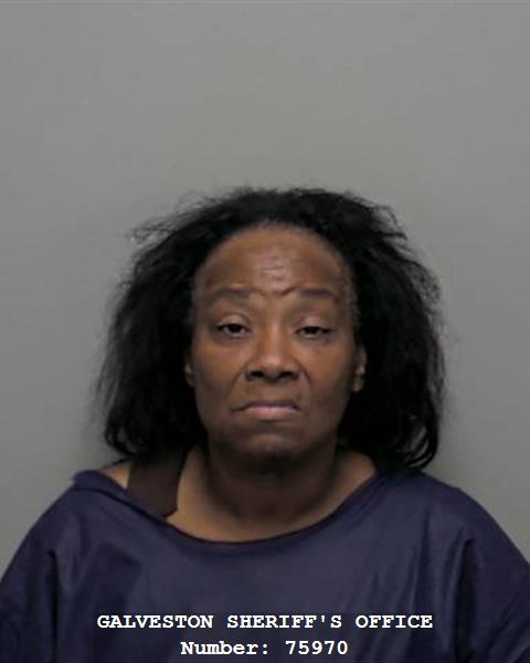 Booking photo of Sheila Franklin