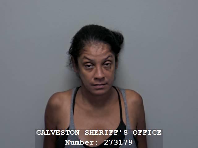 Christina Gongora booking photo