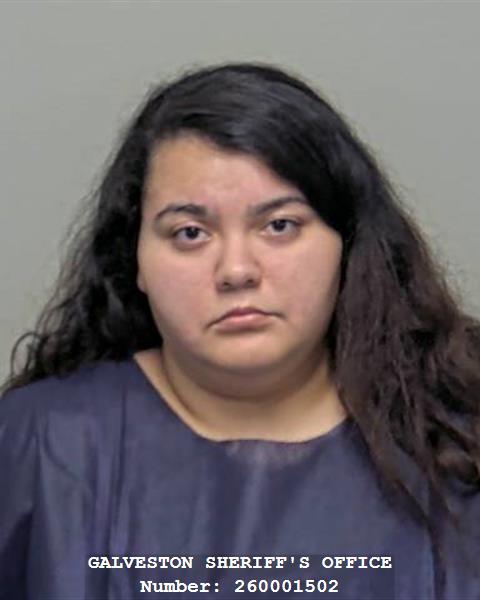 Alena Alaquinez booking photo