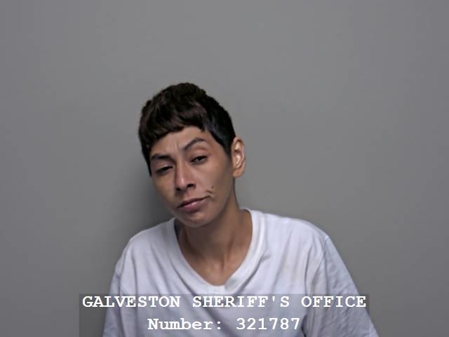 Ariel Garcia booking photo