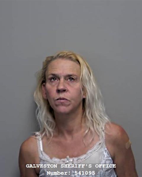 Dawn Mckenzie booking photo