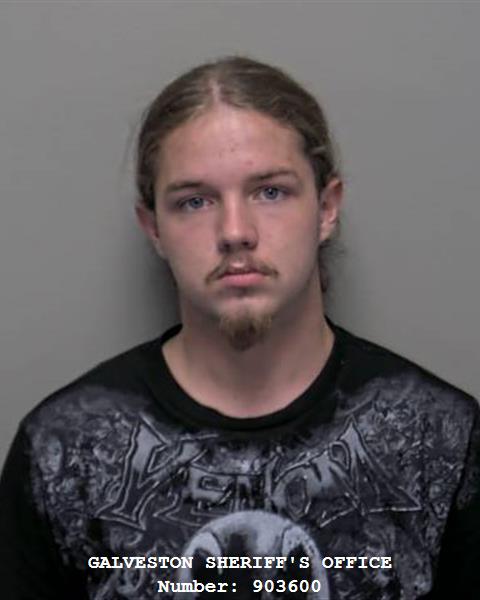 Cadin Chapman booking photo