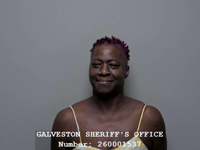 Artomese Wells booking photo