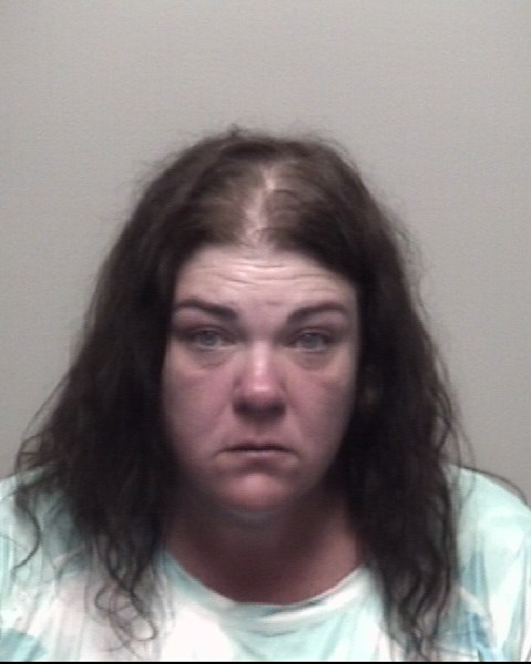Booking photo of Barbara Ehret
