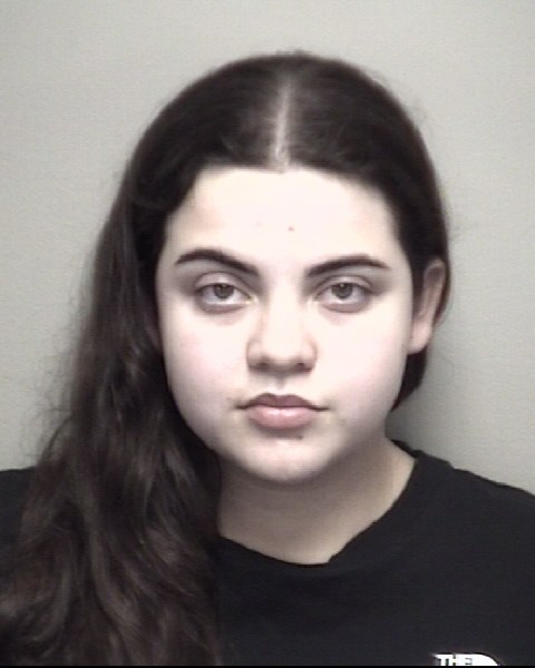 Booking photo of Yajaira Ramirez