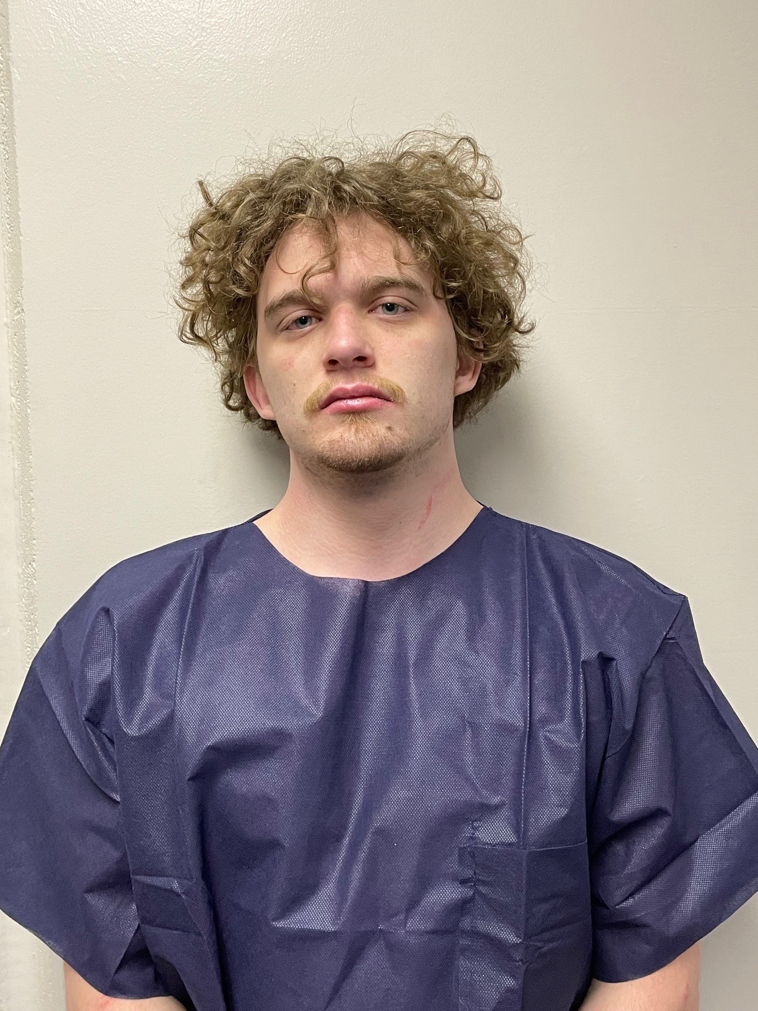 Booking photo of Austin Stanley