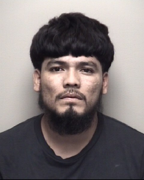 Booking photo of Eladio Medrano Ibarra