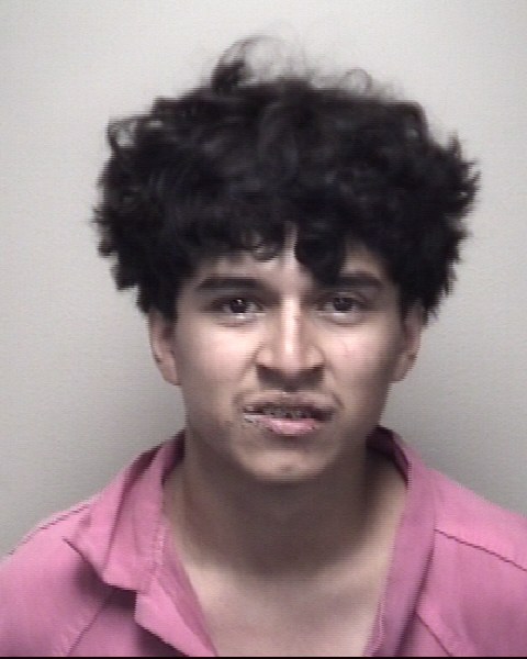 Booking photo of Rolando Castaneda