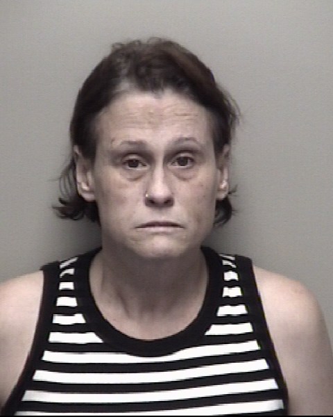 Booking photo of Cara Pavish
