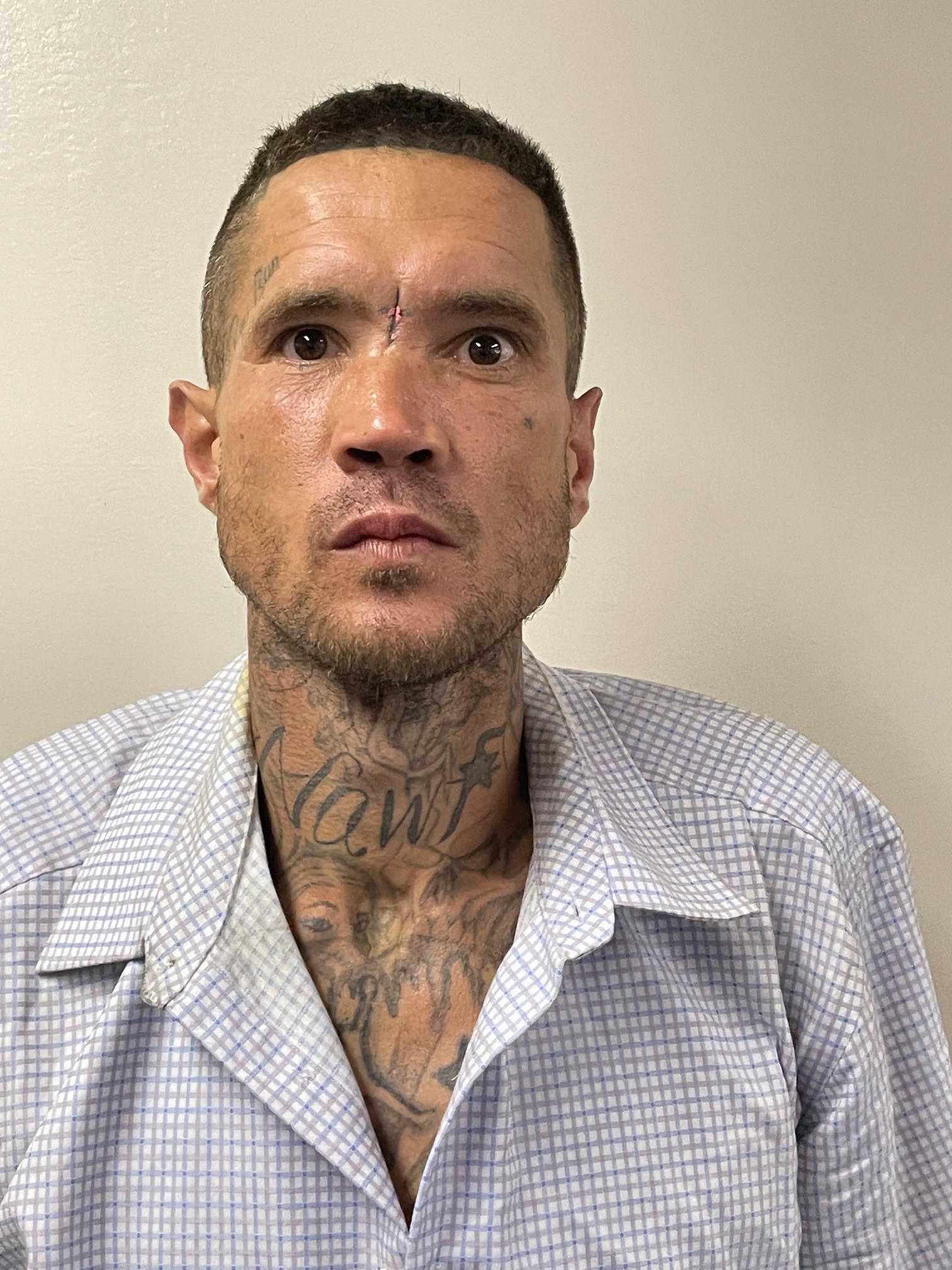 Booking photo of Mark Greeley