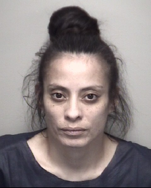 Booking photo of Lydia Villarreal