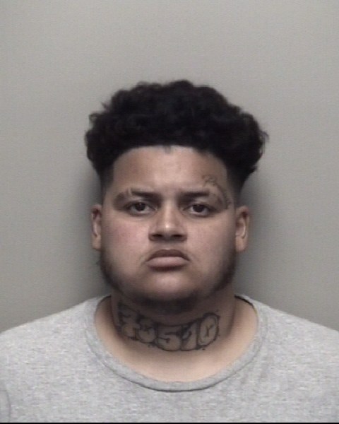 Booking photo of Tiana Menard