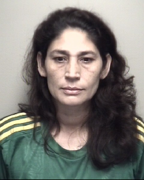 Booking photo of Alma Gomez