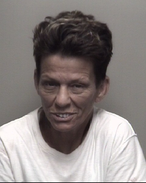 Booking photo of Theresa Robinson