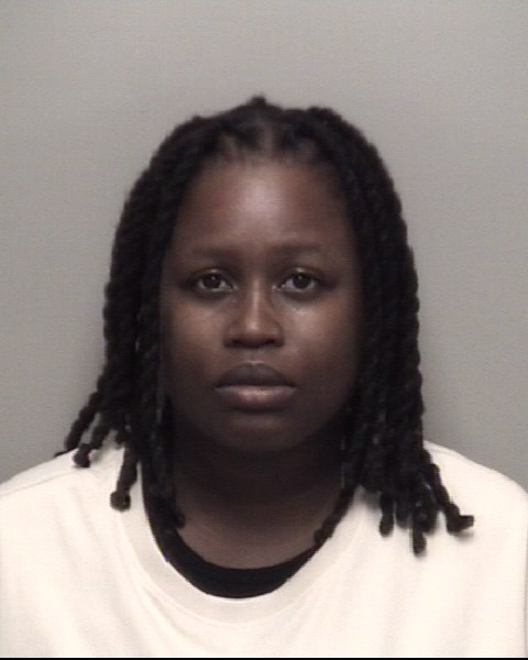 Booking photo of Brittany Fountain
