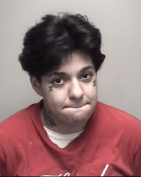 Booking photo of Pamela Nava