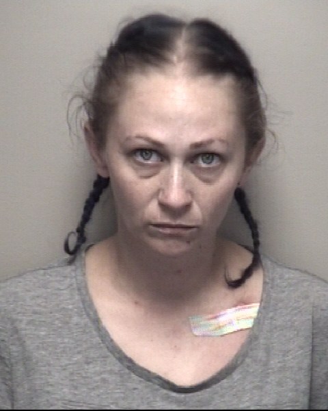 Booking photo of Holly Dager