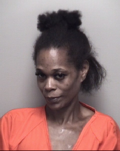 Booking photo of Nicole Day