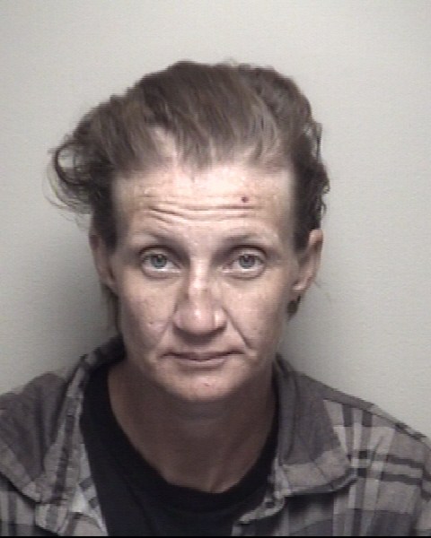 Booking photo of Kristin Ingram