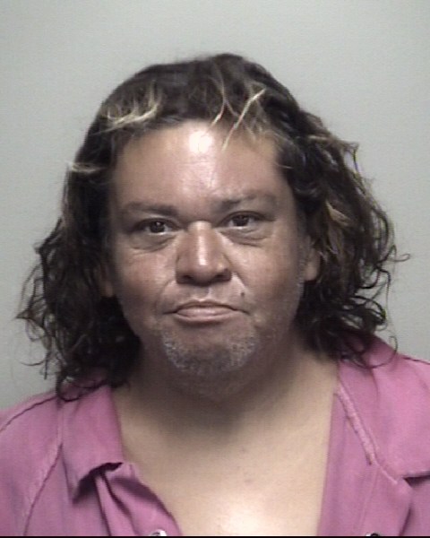 Booking photo of Estella Villarreal