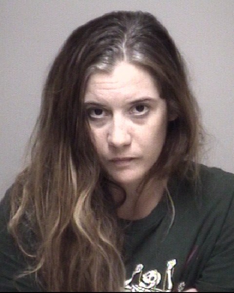 Booking photo of Lauren Reid