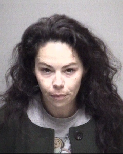 Booking photo of Stephanie Thielen Cook